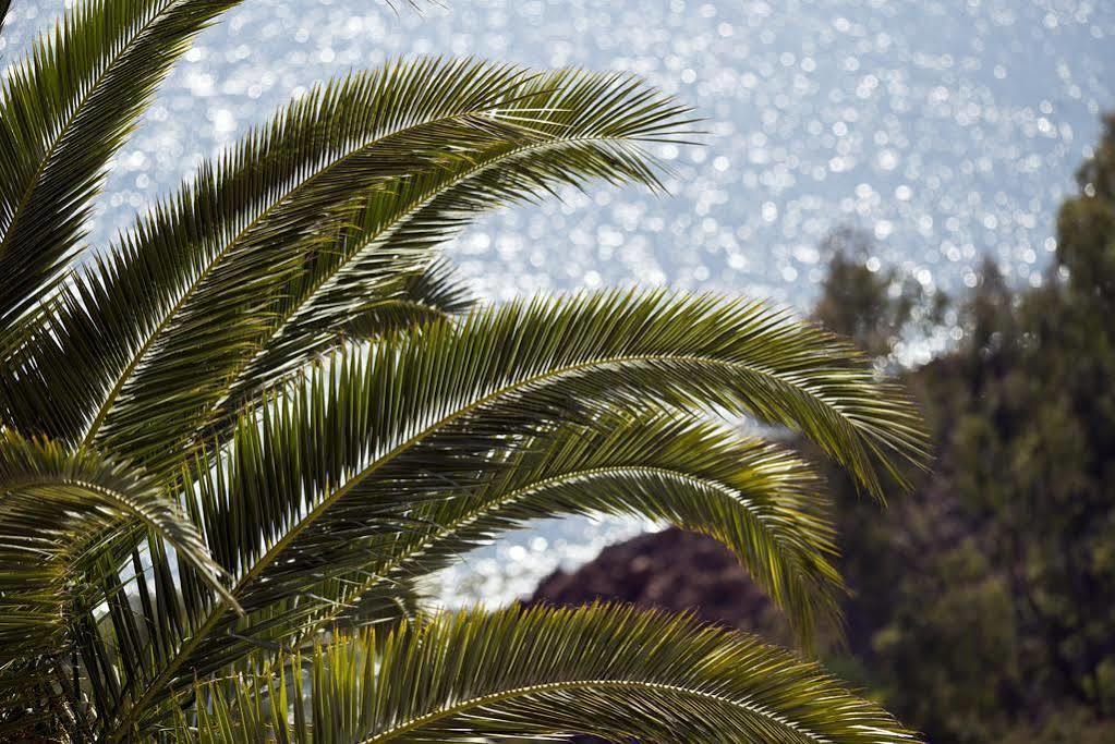 提阿拉雅克匝蔚蓝海岸酒店 泰晤勒·苏尔·梅尔 外观 照片